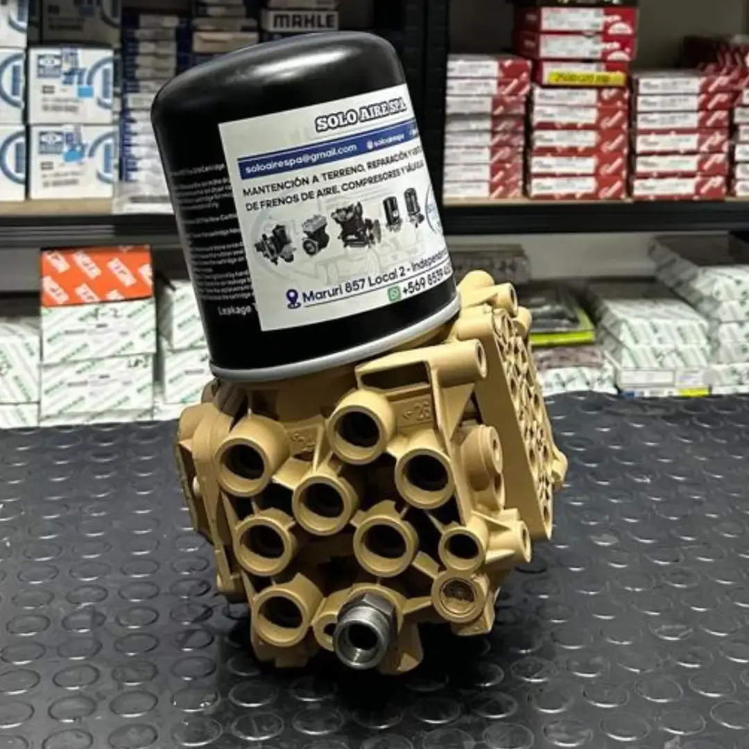 Válvula APM de Renault reparada en Solo Aire